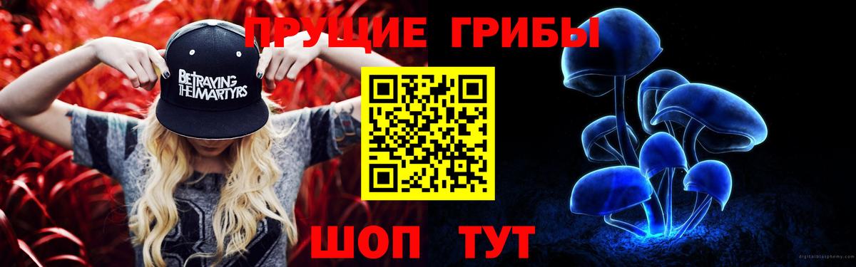 Сафоново  Псилоцибиновые грибы GOLDEN TEACHER  Вход с VPN 